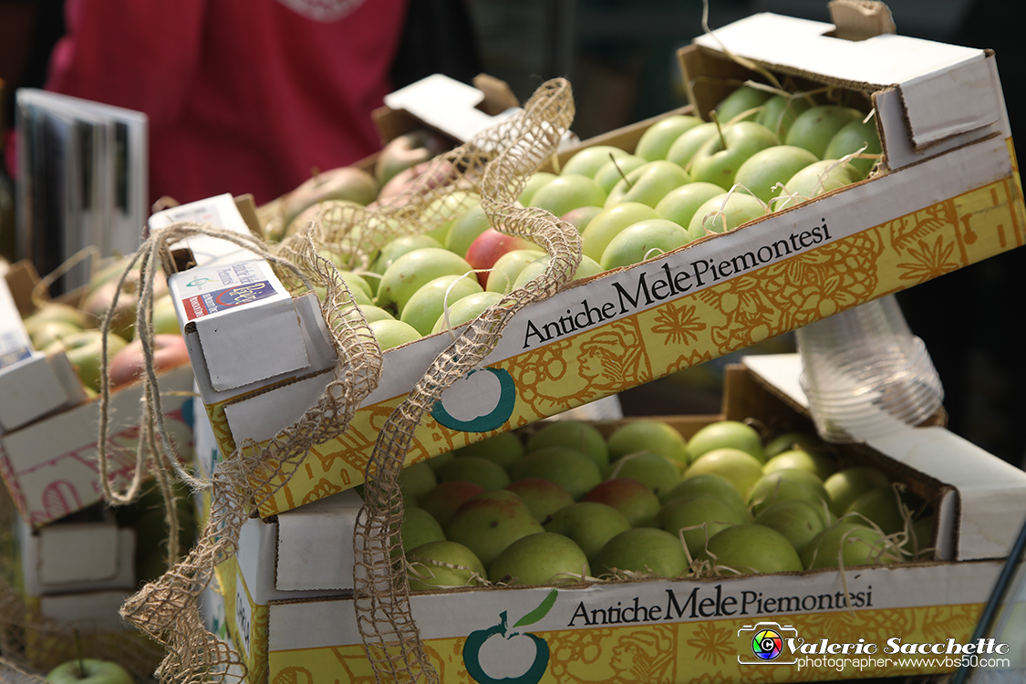 VBS_0769 - Terra Madre Salone del Gusto 2022.jpg